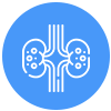 Kidney & Ureteric Stone Treatment